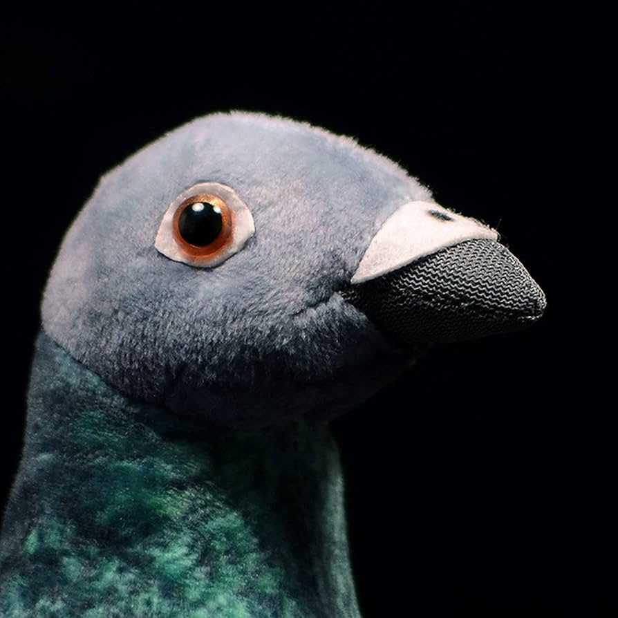 鳩ぬいぐるみ Amazon.co.jp: ZHONGXIN MADE 鳩ぬいぐるみカワバトぬいぐるみ